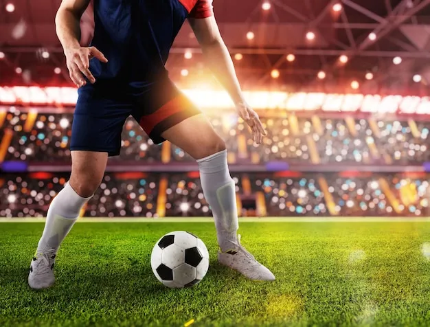 人人体育应用界面展示